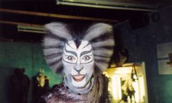 cats 08